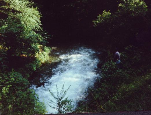 Wolf Creek Dam KY 1994 Clickable